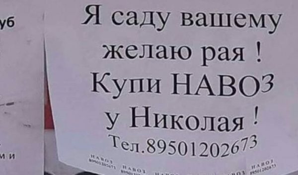 19 объявлений, которые сбивают с ног своей неожиданностью