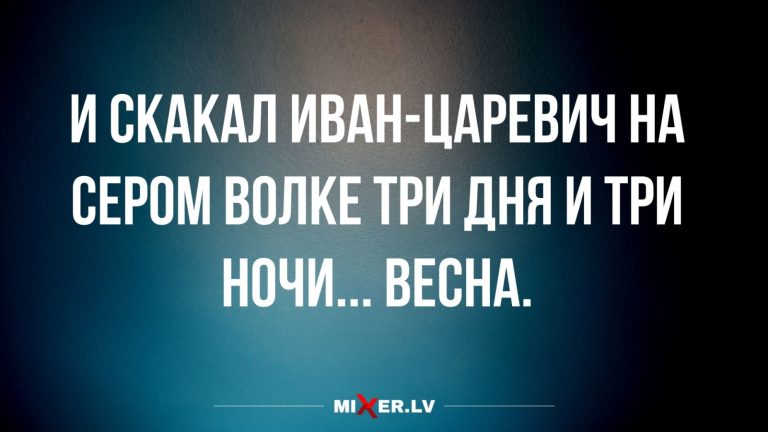 Юмор за день и серый волк