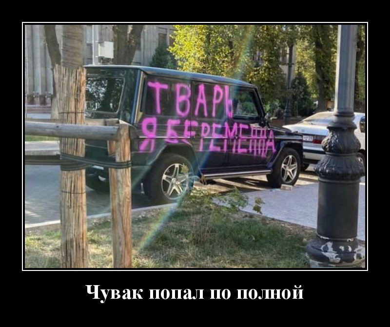 Новые демотиваторы и полное попадание