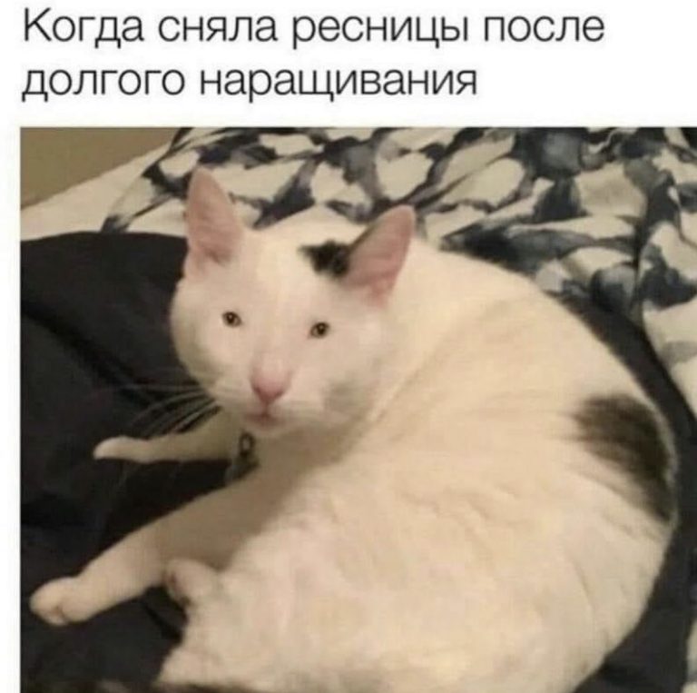 Юмор за день и чык- чырык