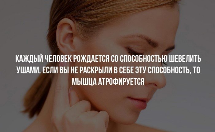 Все могут шевелить ушами и ещё 19 фактов, которые вы скорее всего не знали