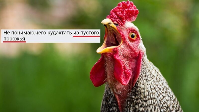 Кошмар для граммар-наци: 21 безграмотный пост с просторов интернета