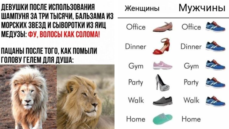 Мужчина + женщина и их отношения в мемах