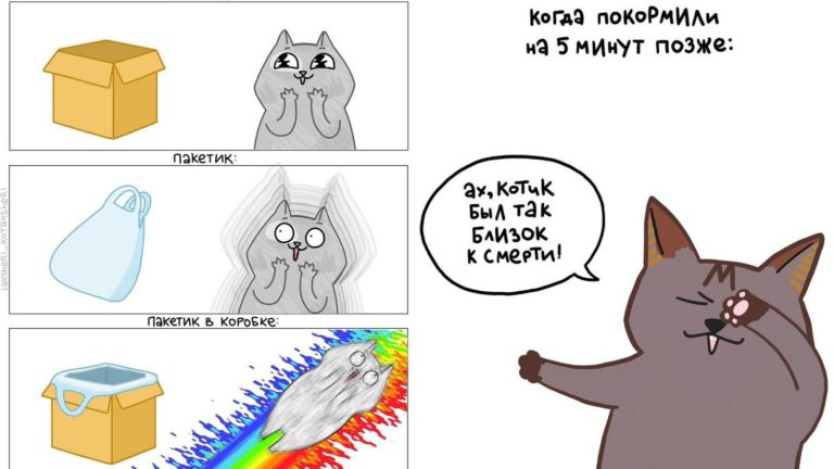 16 забавных комиксов о котиках, ситуации из которых очень знакомы кошатникам