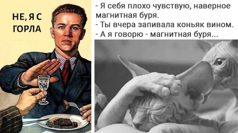 Пост алкогольного юмора на выходные и магнитная буря