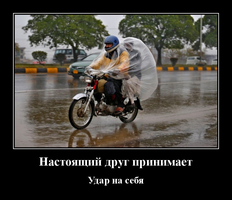 Новые демотиваторы и настоящий друг