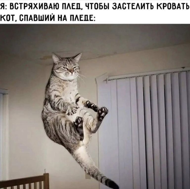 Юмор за день и ортопедические стельки