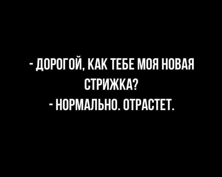 Юмор за день и декоративный верблюдик