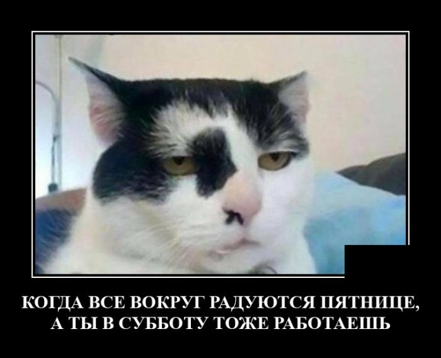 Новые демотиваторы и работа по субботам