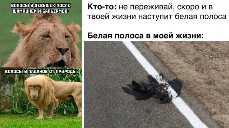 Прикольные картинки с надписями и белая полоса в жизни