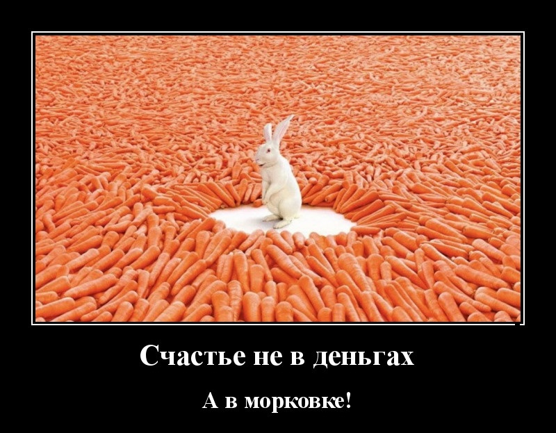 Новые демотиваторы и не в деньгах счастье