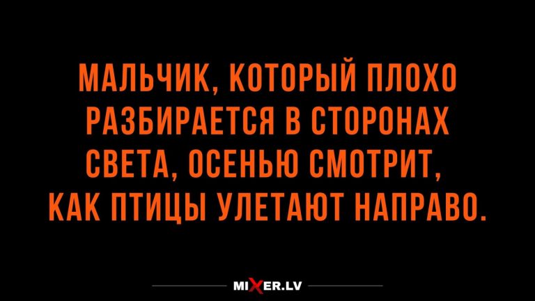 Юмор за день и перелетные птицы