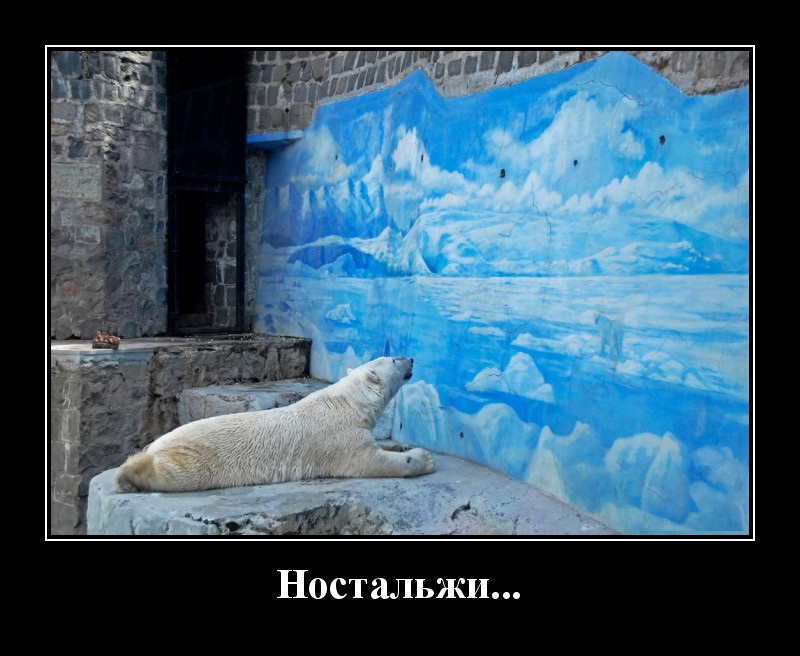 Новые демотиваторы и ностальгия