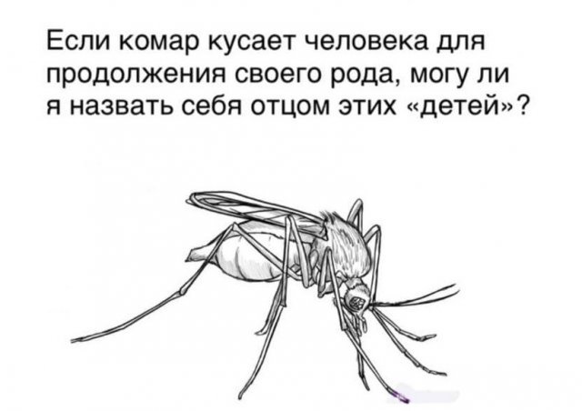 Неожиданные вопросы из интернета, которые просто вводят в ступор
