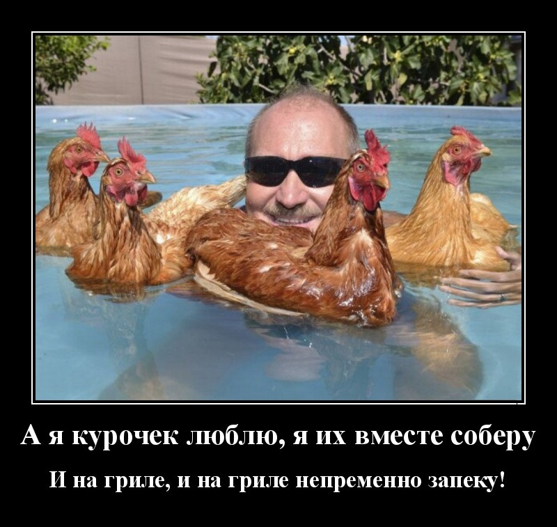 Новые демотиваторы и курица гриль