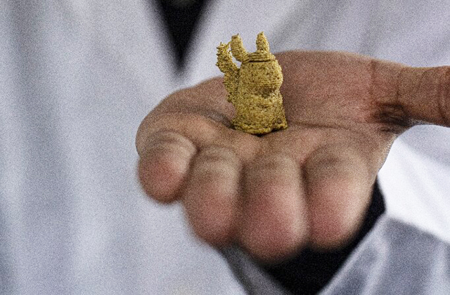 В Чили детей начали кормить распечатанными на 3D-принтере водорослями
