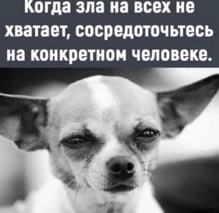 Юмор за день и Ксюша