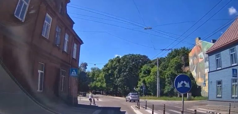 «Eще немного и случилась бы трагедия!»: ребенок выбежал на дорогу, пока мать говорила по телефону