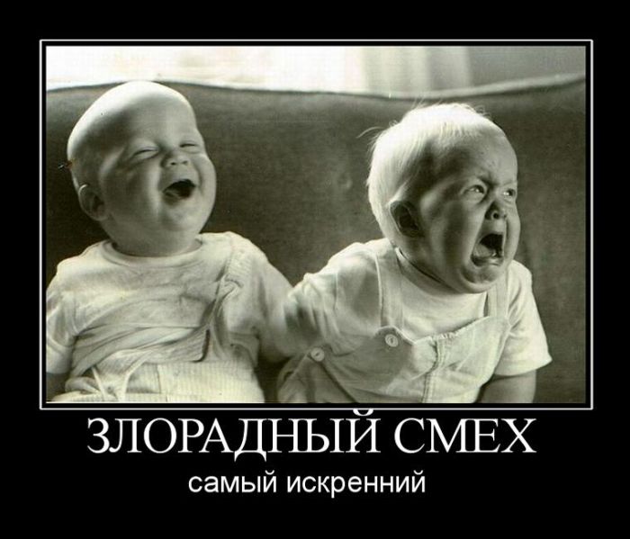 Новые демотиваторы и злорадный смех