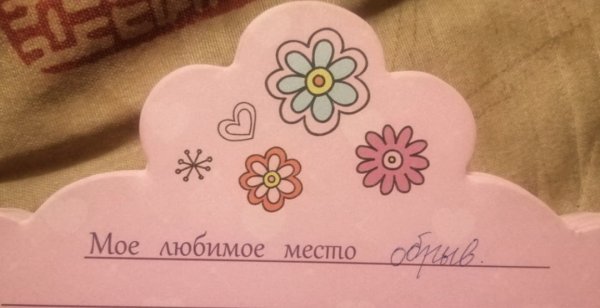 Когда ностальгия в глаз попала: подборка записей из школьных дневников и анкет