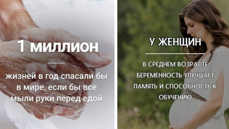 30 познавательных фото о самом разном, цель которых — пополнить копилку знаний