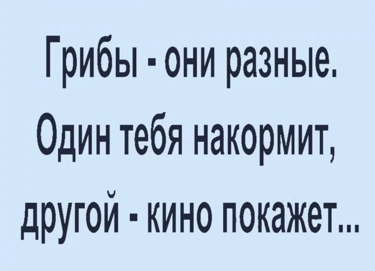 Юмор за день и общий чат