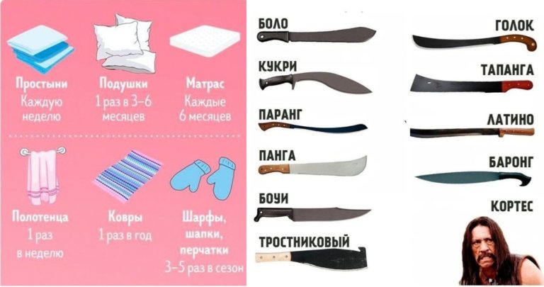 Сохраняем в закладки: 20 интересных шпаргалок на все случаи жизни