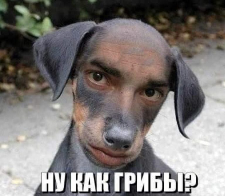 Юмор за день и летний вес