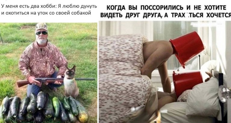 Прикольные картинки с надписями и охота на уток