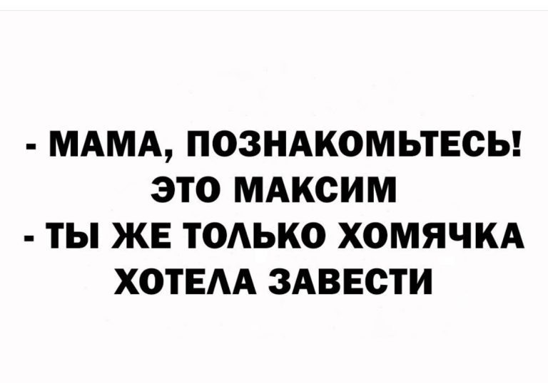 Юмор за день и хомячок