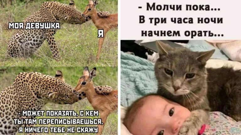 Прикольные картинки с надписями и чужие переписки