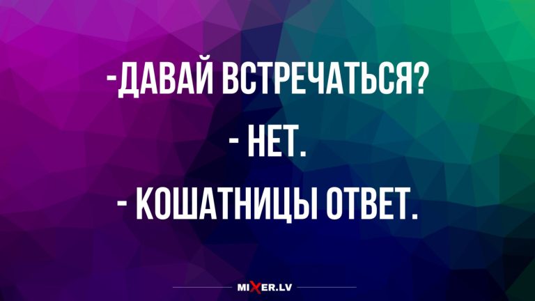 Юмор за день и кошатницы