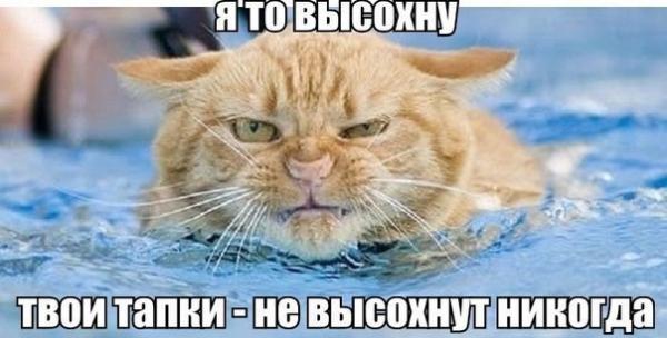 4 знака Зодиака, которые с трудом прощают обиду