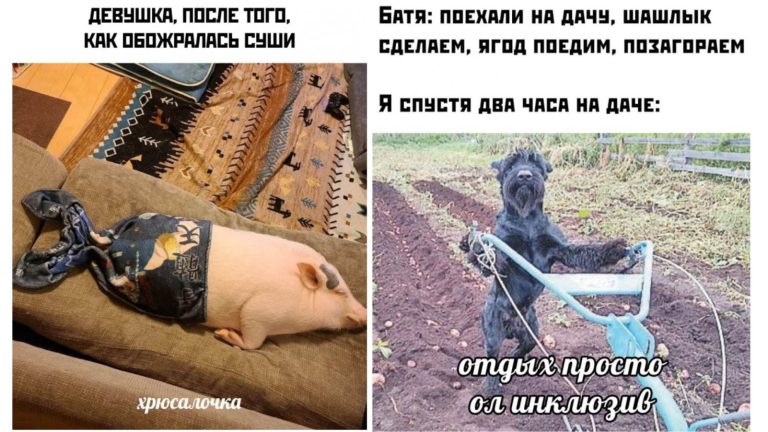 Прикольные картинки с надписями и дачный олл инклюзив
