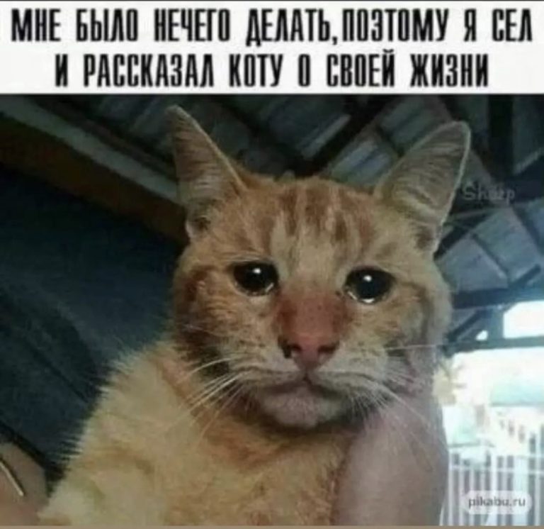 Юмор за день и килограмм черешни