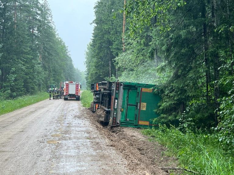 В Курземе разбился автомобиль с 450 свиньями: всех решено усыпить