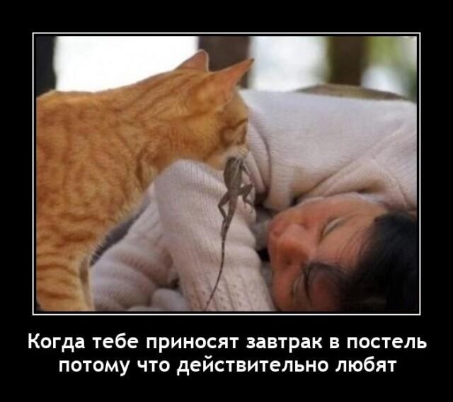 Новые демотиваторы и настоящая любовь