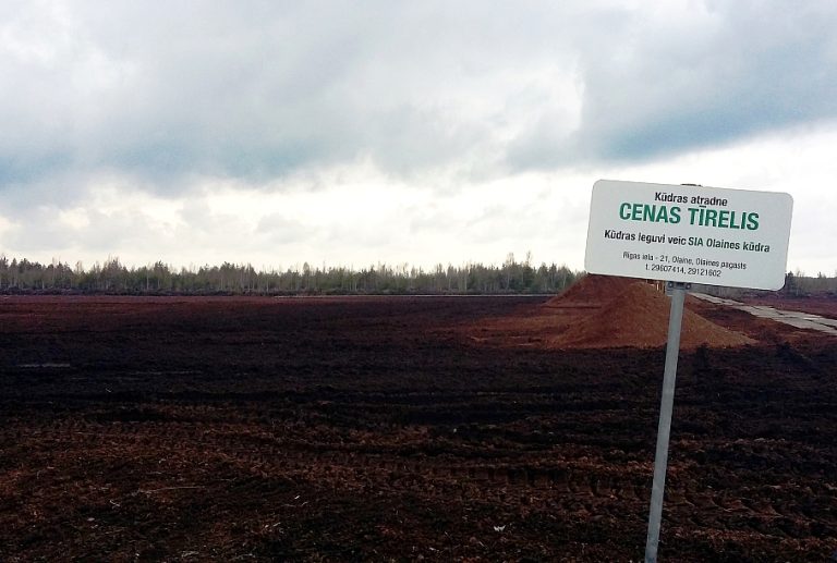 Правительство решило отказаться от использования торфа в энергетике
