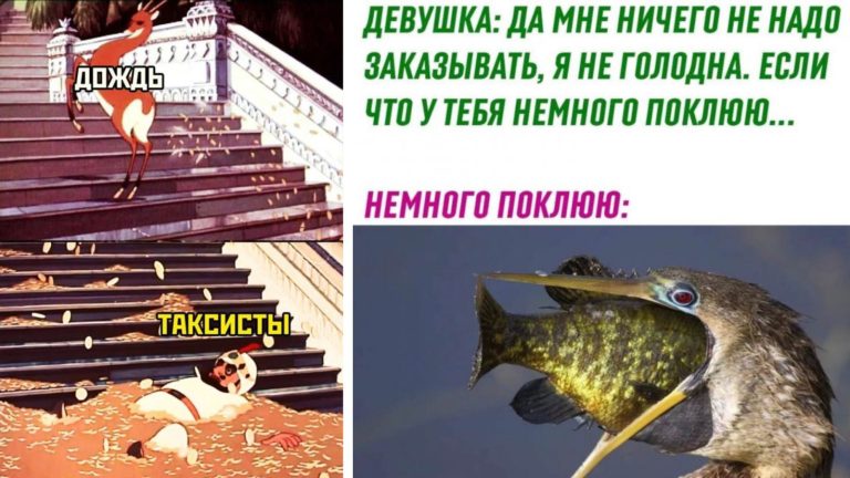 Прикольные картинки с надписями и таксисты в дождь