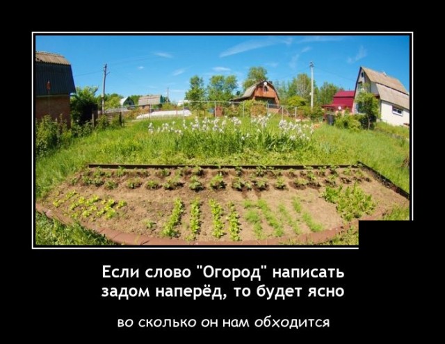 Новые демотиваторы и огород наоборот