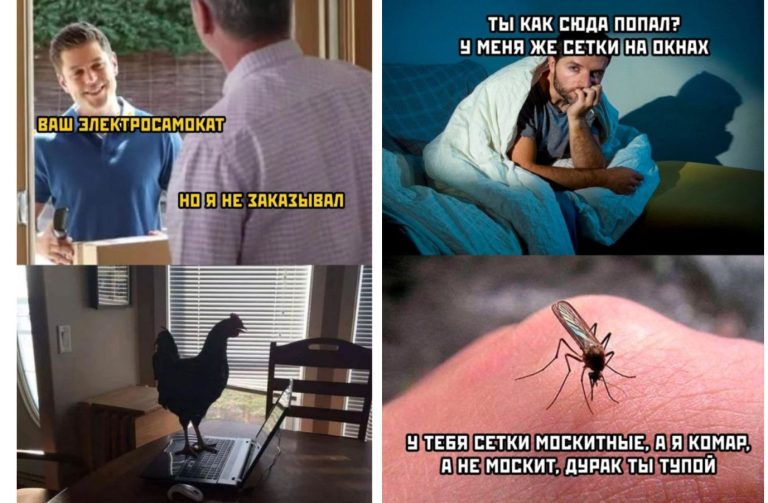 Прикольные картинки с надписями и москитная сетка