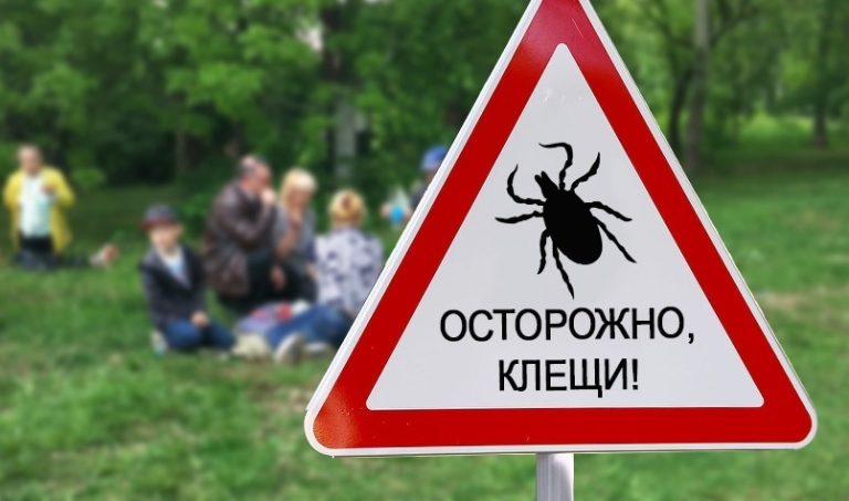 В этом году в стационарах Восточной больницы вытащили уже 508 клещей