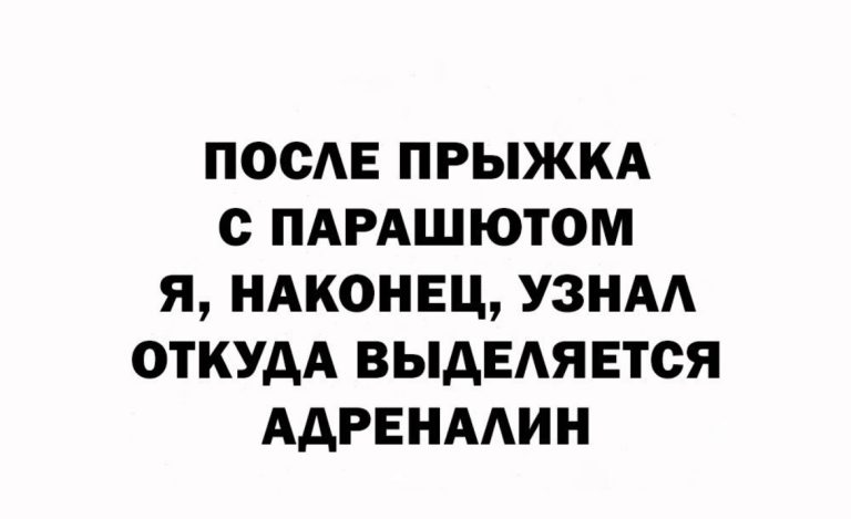 Юмор за день и шмель