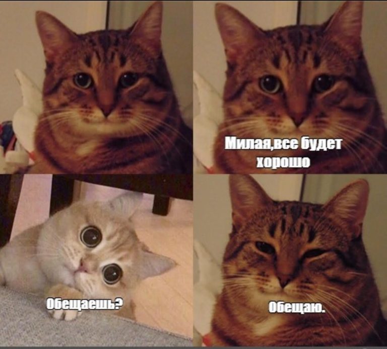 4 Знаки Зодиака, которые пропадают без вести, при переходе от слов к делу