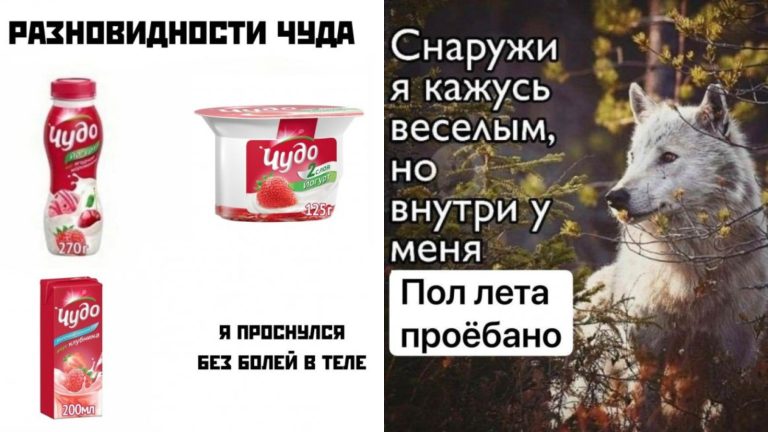 Прикольные картинки с надписями и разновидности чуда