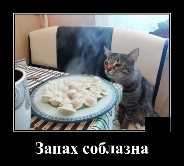 Новые демотиваторы и запах соблазна