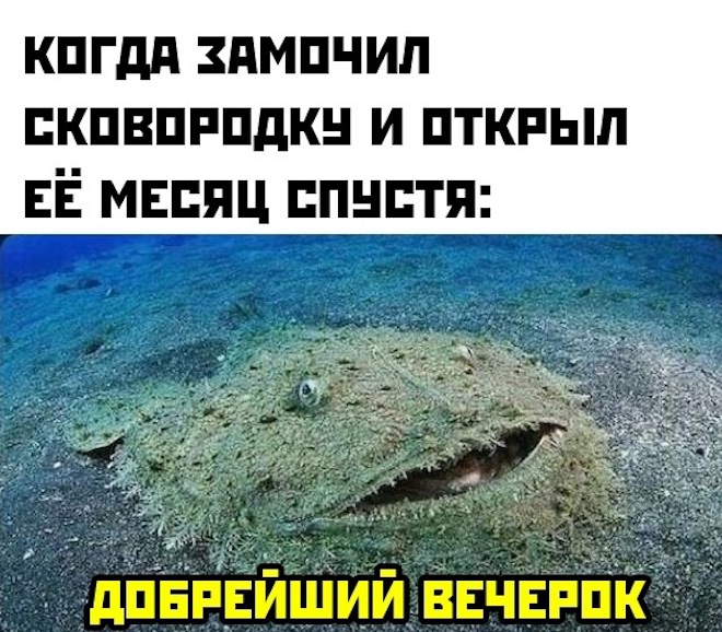 Прикольные картинки с надписями и сковородка