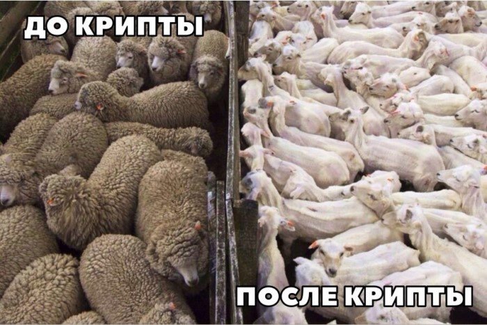 Осторожно, обвал! Шутки и мемы про трейдеров, биржу и криптовалюту