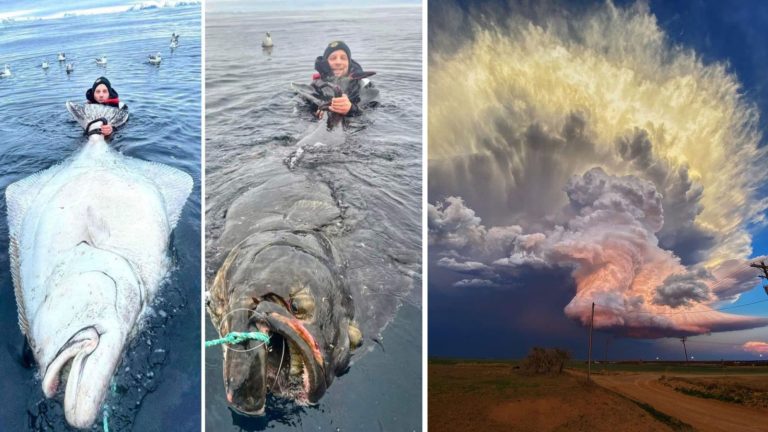 16 сюрреалистических снимков, в которых нет ни капли фотошопа
