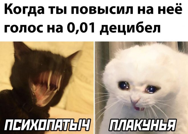Прикольные картинки с надписями и когда повысил на неё голос